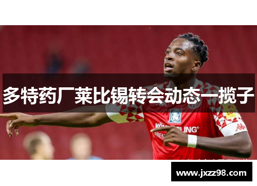 多特药厂莱比锡转会动态一揽子